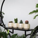 Mini Succulent Planter Set – 3.7 Inch Ceramic Pots with Drainage for Indoor Plants, Small Decorative Flower Pots for Cactus and House Plants, Set of 4 by CozyNest Decor