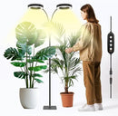 GLOWRIUM Indoor Grow Light, 40 Watt Full Spectrum LED Plant Growth Light with Stand, Adjustable Height with Timer 3/9/12 hrs, Black LED Plant Lamp by GreenHaven Gardens