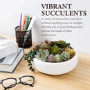 MyGift 8 Inch Round Modern Artificial Succulent Arrangement Potted in White Concrete Plant Bowl, Assorted Faux Mini Succulents in a Decorative Planter Pot by CozyNest Decor
