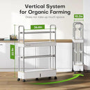 Ahopegarden Indoor Garden Hydroponics Growing System Kit: 60 Pods Vertical Garden with LED Grow Light - Plant Germination Kit Aeroponic Veggie Flower Fruit Growth with Smart Socket & Pump System