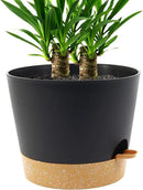 Self Watering Pots for Indoor Plants,12 inch Planters with Drainage Holes Plastic Flower Pots with Deep Reservoir, Black with Brown by CozyNest Decor