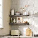 HOOBRO Floating Shelves for Wall, Wall Mounted Shelf Set of 2, 23.6" Hanging Shelf with Invisible Brackets, for Wall in Bathroom, Bedroom, Toilet, Kitchen, Living Room, Office, Charcoal Gray BC60BJ01 by CozyNest Decor
