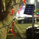 Solar Red Chili String Lights, 30 LED Chili Shape Fairy String Lights Solar Operated String Lights for Wedding, Chinese New Year,Spring Festival,Party Decoration,Christmas by GreenHaven Gardens