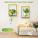 Picture Frame Wall Plant Holder, Metal Window Plant Shelves Plant Holder for Indoor Plants, Hanging Wall Planters Wall-Mounted Plant for Home, Office, and Garden (Gold, 3PCS) by GreenHaven Gardens
