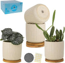 TAMAYKIM 4 Inch Ceramic Plant Pots with Drainage Holes, Modern Flower Planter with Saucer for Indoor Plants, Succulent, Cactus & Herbs, Beige, Set of 4 (Plants Not Included) by CozyNest Decor