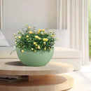 10 inch Hanging Planters for Outdoor Indoor Plants with Drainage Holes and Chain, 2 Pack Round Hanging Flower Pots for Garden Home Porch Decor,Green by CozyNest Decor