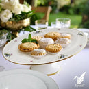 Lynns Paradise Serafina 14-Inch Oval Platter, Set of 2, Purple; Heavy Duty; Chip Resistant; Lead and Cadmium Free; Freezer to Oven Safe up to 500°F by CozyNest Decor