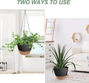 Hanging Planters for Indoor Outdoor Plants, 1 Set Self Watering Hanging Pot with Drainage Holes & Removable Tray (Black-12inch, 12'') by GreenHaven Gardens