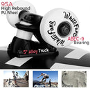 WhiteFang Skateboards for Beginners, Complete Skateboard 31 x 7.88, 7 Layer Canadian Maple Double Kick Concave Standard and Tricks Skateboards for Kids and Beginners by TinyTreasures Baby Boutique