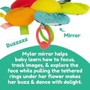 Lamaze Clip On Car Seat and Stroller Toy - Buzzy The Bee - Crinkle Car Seat and Stroller Toys - Sensory Travel Toys for Babies - Infant Toys Ages 0 Months and Up by TinyTreasures Baby Boutique