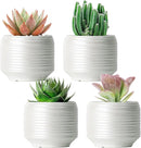 Mini Succulent Planter Set – 3.7 Inch Ceramic Pots with Drainage for Indoor Plants, Small Decorative Flower Pots for Cactus and House Plants, Set of 4 by CozyNest Decor