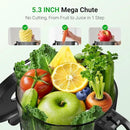 Juicer Machines,Aeitto Cold Press Juicer with 5.3“ Extra Large Feed Chute for Whole Fruits & Vegetables, Juice Extractor Machine, Self Feeding, Easy to Clean, High Juice Yield, Black by CozyNest Decor