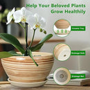 Ceramic Pot for Plants - 13 Inch Planter for Outdoor Plants Indoor Plant Pot with Drainage Hole and Saucer Large Planter Round Flower Pot for House Patio Garden Decor Yellow by GreenHaven Gardens