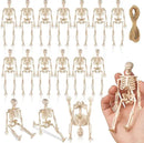 16 Pcs Halloween Mini Skeleton Figurine Decoration,6”Halloween posable Skeleton Decor,Small Plastic Skeleton Figure for Spooky Home Decor Haunted House Decorations Party Favors by CozyNest Decor