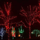 Dazzle Bright 300 LED Christmas String Lights, 100 FT Connectable Waterproof String Lights Green Wire with 8 Modes Christmas Decoration for Indoor Outdoor Party Yard Garden Decor (Red) by GreenHaven Gardens