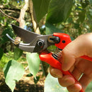 BUGUI 8" Gardening Scissors, Bypass Pruning Shears, 1" Cutting Capacity Sharp Garden Clippers with Low-friction Painted Stainless Steel Blade by GreenHaven Gardens