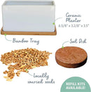 The Cat Ladies Organic Cat Grass Growing kit with Organic Seed Mix, Soil and Ceramic Planter with Bamboo Tray. Natural Hairball Control and Remedy for Cats by GreenHaven Gardens