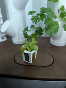 Grow Cubes for Hydroponic System/Compatible with Gardyn (20 Grow Cubes) by GreenHaven Gardens