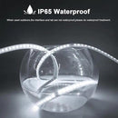 AIMENGTE LED Strip Lights, 240 LEDs, 6500K Cool White, Waterproof Indoor & Outdoor Rope Lights for Room, Garden, Patio, Kitchen, Bedroom, Living Room, and Under Cabinet Decoration, AC 110V by GreenHaven Gardens