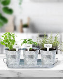 vensovo Indoor Herb Planter Set - Galvanized Windowsill Garden Pots with Tray & Drainage, Set of 3 Metal Window Planters for Kitchen & Outdoor Use, Silver by GreenHaven Gardens