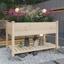 Raised Garden Bed with Storage Shelf 48.5x24.4x30 Inch, Elevated Wood Planter Box with Legs for Vegetable Flower Herb Outdoors Backyard, Patio, Balcony with Liner by GreenHaven Gardens