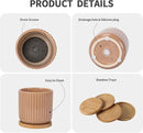 TAMAYKIM 4 Inch Cylinder Ceramic Boho Plant Pots with Drainage Hole and Saucer, Glazed Multicolor Flower Pots for Succulent, Snake Plant, Cactus and Herbs, Set of 4 (Plant Not Included) by CozyNest Decor