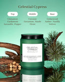 M&SENSE Celestial Cypress - Cedar & Spice Soy Jar Candles, Cedarwood Cardamom Large Winter Scented Candles 19.4oz 110 Hour Long Lasting Burn, Non Toxic Natural Warm Woody Scent Gifts for Men Women by CozyNest Decor