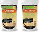 Cat Grass Planting Soil - Provide Your Cat with a Safe and Healthy Greenscape - 10 QUARTS by GreenHaven Gardens