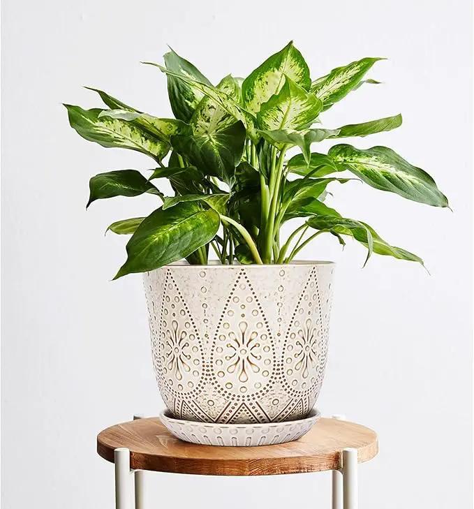 Gepege 8 Inch Plant Pot, Creamy White Ceramic Planter with Drainage Holes and Saucers for Plants Indoor and Outdoor Flower Pot, photo 7 of 7