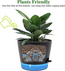 Self Watering Pots for Indoor Plants,12 inch Planters with Drainage Holes Plastic Flower Pots with Deep Reservoir, Black by CozyNest Decor