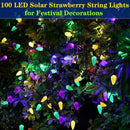Solar Mardi Gras Lights, Yellow Green Purple Decor Lights, 100 LEDs 8 Modes Waterproof Solar Outdoor C6 Strawberry Garden Lights for Mardi Gras, Camping, Holiday, Arbor, Fence, Balcony Decorations by GreenHaven Gardens