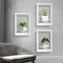 Picture Frame Plant Holder, Wall Mount Plants shelf Indoor Outdoor, Metal Hanging Planters Stand Decor, Window Planter Hanger Shelves, Modern Floating Ornament Rack Art for Home & Garden(White 3pc) by GreenHaven Gardens