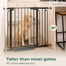 Cumbor 36" Extra Tall Baby Gate for Stairs, 29.7-57" Extra Wide Dog Gate for Doorways Hallways, Pressure Mounted Child Gate for Wide Opening, Auto Close Personal Safety for Babies and Pets, Black by TinyTreasures Baby Boutique
