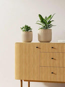 LE TAUCI Ceramic Planters, 8.3+6.9+5.7 Inch Plant Pots for Indoor Plants, Set of 3 Flower Pots with Drainage Holes, Round Planters Pot for Indoor House Plants, Reactive Glaze Cloud Cream by GreenHaven Gardens