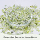 2.5 lbs Jade Pebbles for Indoor Plants, Decorative Pebbles for Bamboo, Vase, 3/8" Plant Gravel for Pots Indoor, Highly Polished Small River Rocks by GreenHaven Gardens