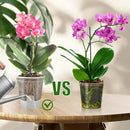 Cdd's Path 5-Pack 6 Inch Self Watering Pots Set with Holes for Indoor/Outdoor Plants,Planter Pot with Watering Hole/Reservior and Air Pipes,Clear by GreenHaven Gardens