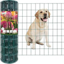 Green PVC Coated Welded Wire Fence 24 Inch x 50 Foot, 2 Inch x 3 Inch 16GA, Garden Border Fencing Roll Vinyl Coating Metal Wire Mesh for Yard Vegetable Plant Protection Poultry Netting by GreenHaven Gardens