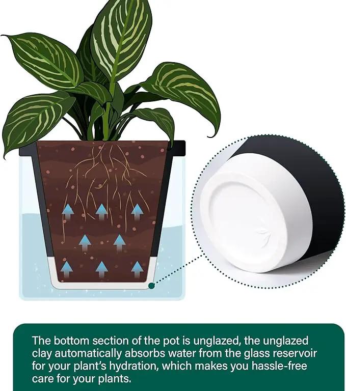 D'vine Dev 10 Inch Design Self Watering Planter for Indoor Plants, Black Terracotta Pot with Cylinder Glass Cup, 37-X-D-3, photo 6 of 7