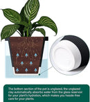 D'vine Dev 10 Inch Design Self Watering Planter for Indoor Plants, Black Terracotta Pot with Cylinder Glass Cup, 37-X-D-3 by GreenHaven Gardens