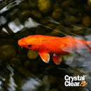 CrystalClear Algae D-Solv Pond Algae Control, Fast-Acting EPA Registered Algaecide, Use in Fountains & Outdoor Ponds Containing Koi & Other Fish, Treats 115,200 Gallons, 2.5 Gallons by GreenHaven Gardens