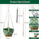 Hanging Planter Self Watering 10 Inch, 2 Pack Indoor Outdoor Hanging Baskets, Hanging Flower Pots with Drainage Hole & 2 Kinds of Plant Hangers for Garden Home Decor(Green)… by GreenHaven Gardens