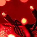 200 Count Red Wide Angle LED Christmas Lights, 66 ft Green Wire UL Certified Commercial Grade 5mm Holiday String Light Set (Red) by CozyNest Decor