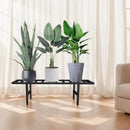 Plant Stand Indoor Outdoor, Heavy Duty Iron Pedestal Stands Metal Plant Stand for Indoor Outdoor, 1-Tier Sturdy Flower Stand Display Plant Shelf by GreenHaven Gardens