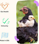 Grubbly Farms Prebiotics + Probiotics for Chickens (30 Day) by GreenHaven Gardens