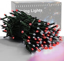 HOME LIGHTING 66ft Christmas Decorative Mini Lights, 200 LED Green Wire Fairy Starry String Lights Plug in, 8 Lighting Mode, for Indoor Outdoor Xmas Tree Wedding Party Garden Decoration (Red & White) by TinyTreasures Baby Boutique