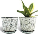 Gepege 6 Inch Beaded Ceramic Planter Set of 2 with Drainage Hole and Saucer for Plants, Indoor-Outdoor Large Round Succulent Orchid Flower Pot (Smoked Gray, Inner-pots not Larger Than 5 Inch) by GreenHaven Gardens
