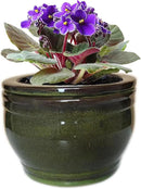 African Violet Pots Self Watering Round Ceramic Violet Pot (Olive drab, 6 inch) by GreenHaven Gardens
