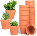 Terra Cotta Pots, 24 Pack 3.15 Inch Mini Clay Pots with Drainage Holes,Cactus Flower Nursery Terracotta Pots for Indoor/Outdoor Succulent Plants, Crafts, Wedding Favor by GreenHaven Gardens