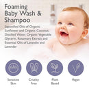 SoCal Suds & Company - Organic Foaming Baby Wash & Shampoo - Gentle Cleansing Newborn Body & Hair Soap for Sensitive Skin - Clean Natural Soothing Ingredients - Lavender, 6oz, 2-Pack by TinyTreasures Baby Boutique