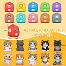 Learning Toy for Toddlers 1 2 3 Year Old, 20 Pcs Cat Toys for Kids, Counting, Matching & Sorting Montessori Educational Sensory Toys, Christmas Birthday Easter Gift for Baby Boy Girl 1-3 by TinyTreasures Baby Boutique